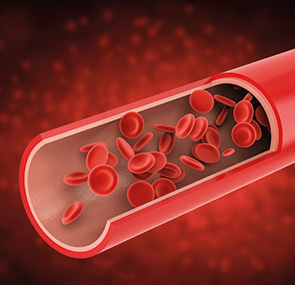 Thrombozyten bei Krebs