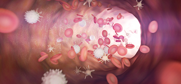 Blutbildveränderungen durch eine Chemotherapie Blutbildveränderungen durch eine Chemotherapie