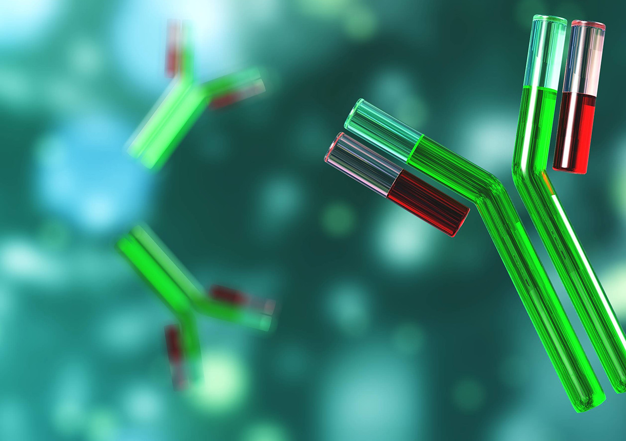 Antikörpertherapie bei Krebserkrankungen